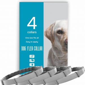 MONTAUR FLEA AND TICK PREVENTION FOR DOGS – 4 COUNT